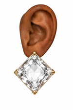 Load image into Gallery viewer, Clear Out