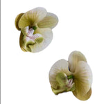 Load image into Gallery viewer, Orchid Shine Earrings